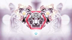 Animals clouds white tiger Tigers hexagons roar bokeh artwork