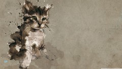 Animals collage cats Kittens