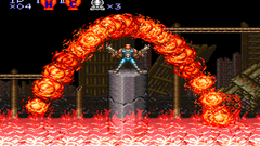 Animals Contra alien Life