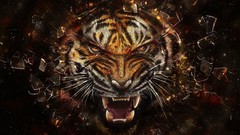 Animals Crash Tigers artwork