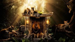 Animals design king Africa Lions wild animals wildlife artwork 