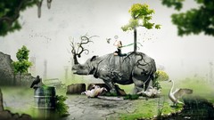 Animals Desktopography