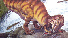 Animals Dinosaurs Reptiles animal