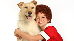 Animals Dogs annie animal