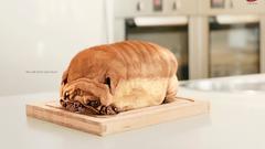 Animals Dogs bread