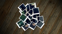 Animals Dogs Bug animal