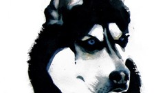 Animals Dogs drawings
