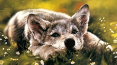 Animals Dogs drawings