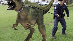 Animals Dogs funny WTF