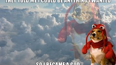 Animals Dogs gods funny fun