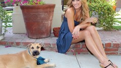 Animals Dogs Lauren Conrad