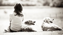 Animals Dogs outdoors pets