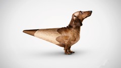 Animals Dogs Pencils Photo manipulation