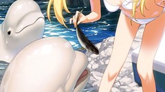 Animals Dolphins grisaia no kajitsu matsushima michiru 