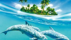 Animals Dolphins Islands palm trees split-view