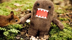 Animals domo funny