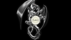 Animals dragon bk The