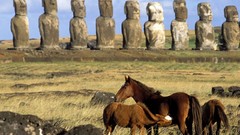 Animals Easter Island statues moai