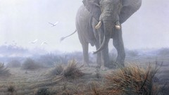 Animals elephants daniel smith artwork