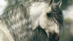 Animals Excalibur national geographic