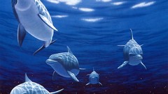 Animals fantasy art underwater