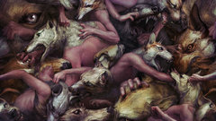 Animals fight Dogs Wolves