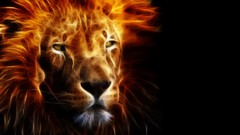 Animals fire black background Lions Fractalius