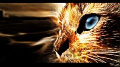 Animals fire cats flames feline digital art