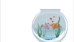 Animals fish aquarium