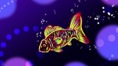 Animals fish Little Pixie