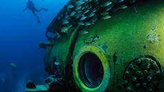 Animals fish national geographic