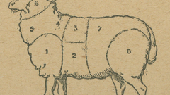 Animals food meat sheep