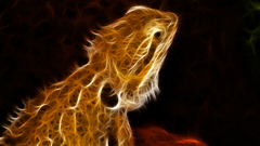 Animals Fractalius