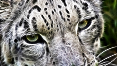 Animals Fractalius animal