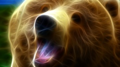Animals Fractalius brown Bears