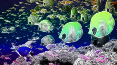 Animals Fractalius fish