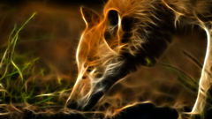 Animals Fractalius foxes