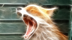 Animals Fractalius foxes