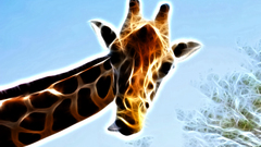 Animals Fractalius Giraffes
