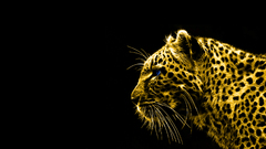 Animals Fractalius gold Leopards