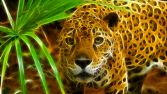 Animals Fractalius jaguars