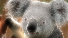 Animals Fractalius koalas