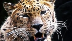 Animals Fractalius Leopards