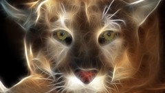 Animals Fractalius puma