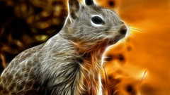 Animals Fractalius squirrels