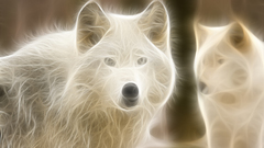 Animals Fractalius Wolves