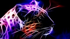 Animals Fractals black background fractal Leopards multicolor 
