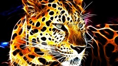 Animals Fractals black background fractal Leopards shining 