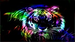 Animals Fractals black background fractal Tigers multicolor 