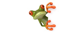 Animals Frogs 3d